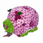 Хрюшка. Хризантема. Забавная игрушка из живых цветов.