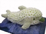 Дельфин. Хризантема. Игрушка из живых цветов