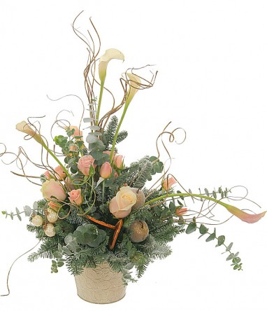 ���������� ���������� �65. �����, ����, ���, ������. 