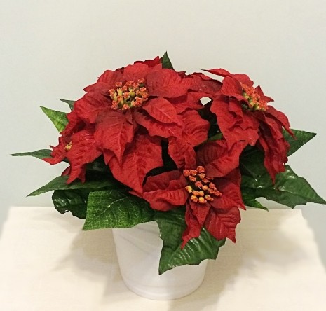 ���������� - ������������. �����, ����� ������������. 