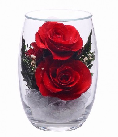 ���������� � ������� �� ����� ������. ���� . ���������� ���������� ����������� � ��������� �����, � ������� ��������� ����������� �����, �� ��������� � ������� 5 ���.
