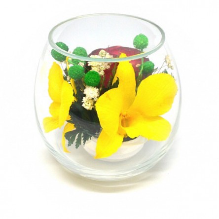  ���������� � ������� �� ����� ������. ����, �������. ���������� ���������� ����������� � ��������� �����, � ������� ��������� ����������� �����, �� ��������� � ������� 5 ���