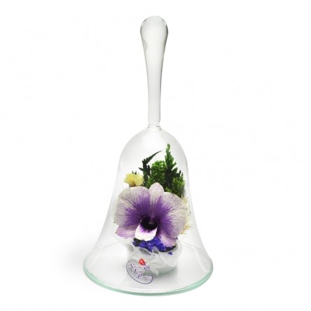 ���������� � ������� �� ����� ������. �������. ���������� ���������� ����������� � ��������� �����, � ������� ��������� ����������� �����, �� ��������� � ������� 5 ���