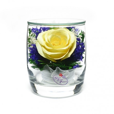 ���������� � ������� �� ����� ������ . ���� . ���������� ���������� ����������� � ��������� �����, � ������� �������������������� �����, �� ��������� � ������� 5 ���.