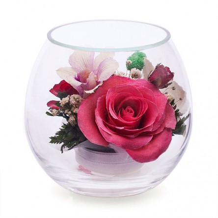 ���������� � ������� �� ����� ������. ����, �������. ���������� ���������� ����������� � ��������� �����, � ������� ��������� ����������� �����, �� ��������� � ������� 5 ���
