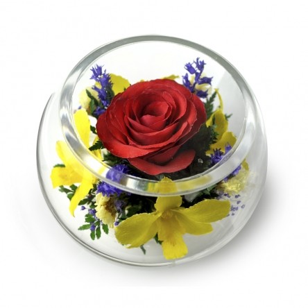 ���������� � ������� �� ����� ������. ����. ���������� ���������� ����������� � ��������� �����, � ������� ��������� ����������� �����, �� ��������� � ������� 5 ���