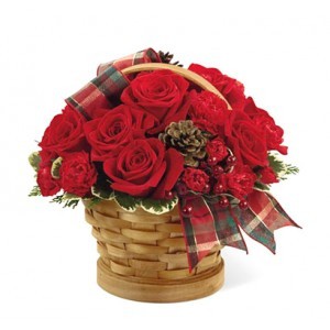 ������ ��������. ����. 