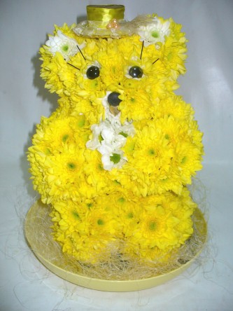 ����� ���������. ����������. �������������� ����� �� ����� ������ 