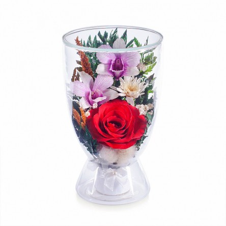 ���������� � ������� �� ����� ������. ����, �������. ���������� ���������� ����������� � ��������� �����, � ������� ��������� ����������� �����, �� ��������� � ������� 5 ���. 