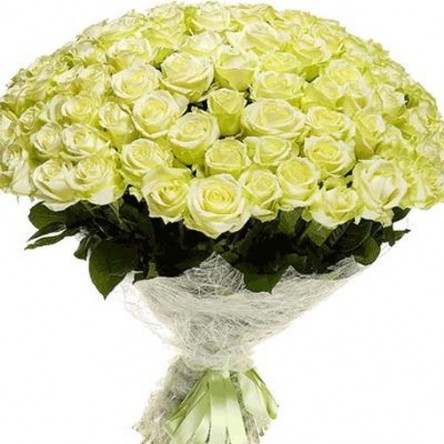 101 ����� ���� �������. ���� �������. ���������� ������� �� 101 ���� �������. 