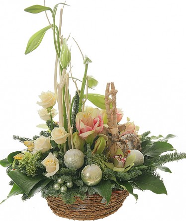 ���������� ���������� �67. ����, ����������, �����,������, ���. 