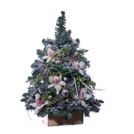 ���������� �����������13. ���, �������. 