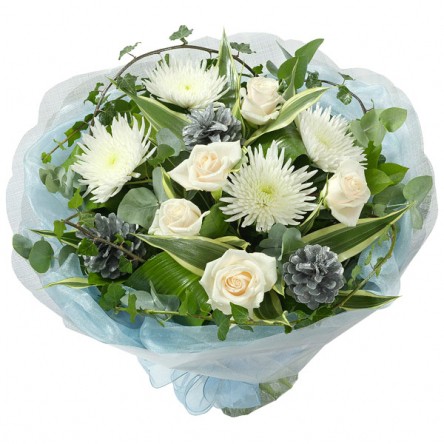 ������ ������. ����, ����������. 