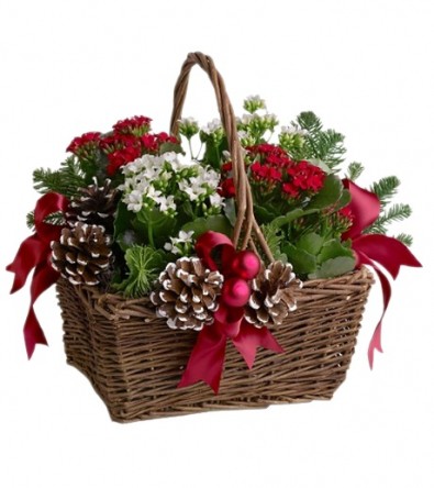 ���������� ���������� �34.  �������� ��������, �����, ���. �������� �������� - 4 ��.