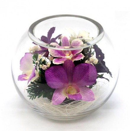 ���������� � ������� �� ����� ������. �������. ���������� ���������� ����������� � ��������� �����, � ������� ��������� ����������� �����, �� ��������� � ������� 5 ���