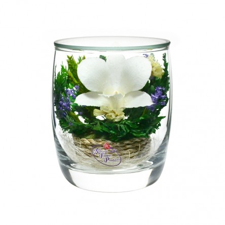 ���������� � ������� �� ����� ������ . ������� . ���������� ���������� ����������� � ��������� �����, � ������� �������������������� �����, �� ��������� � ������� 5 ���.