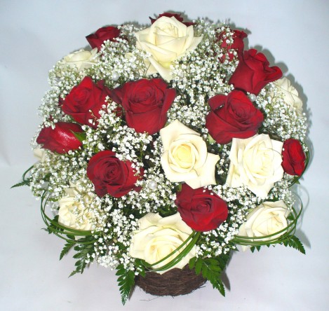 �������. ����. ������������ ���������� � ����-������� �����