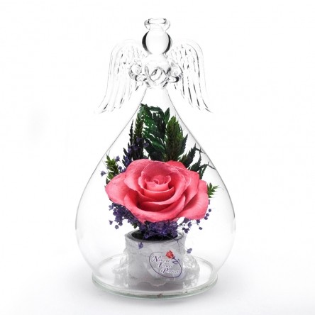 ���������� � ������� �� ����� ������. ����. ���������� ���������� ����������� � ��������� �����, � ������� ��������� ����������� �����, �� ��������� � ������� 5 ���