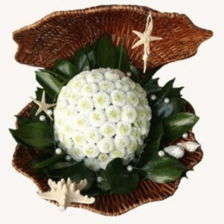  ���������. ����������. 