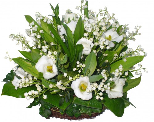 http://www.flowers-moscow.ru/databank/item/500/ecabc1cc4bb6057f668c44af9094bd2d.jpg