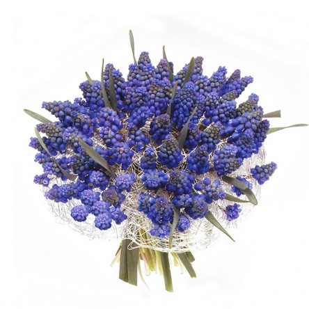 �������. �������. ��������� �����  �������� ���� ��������� �����!