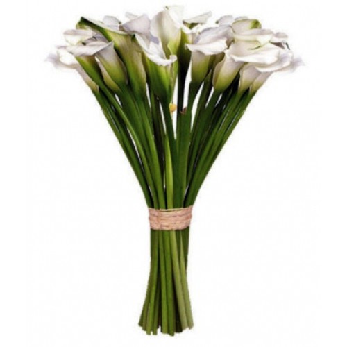 �����. �����. �������� ������ FLOWERS-MOSCOW.RU