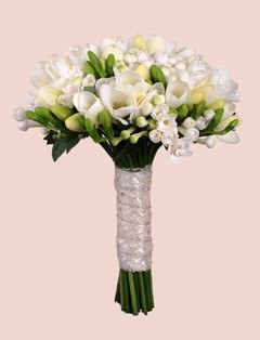 ����� ������� �36. ������. �������� ������ FLOWERS-MOSCOW.RU