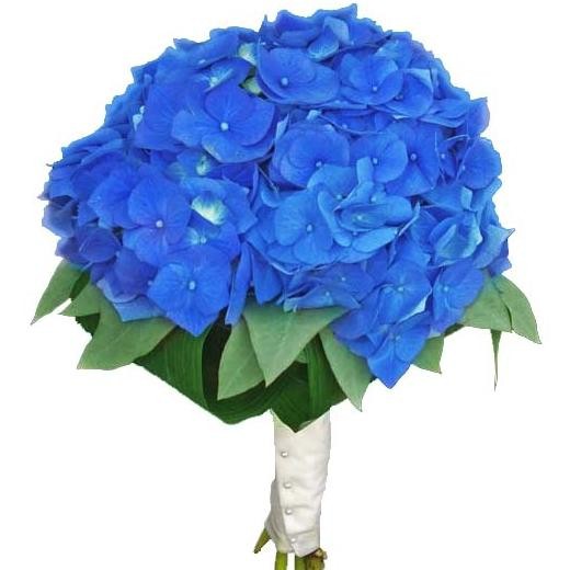 ����� ������� �45. ���������, ������. �������� ������ FLOWERS-MOSCOW.RU