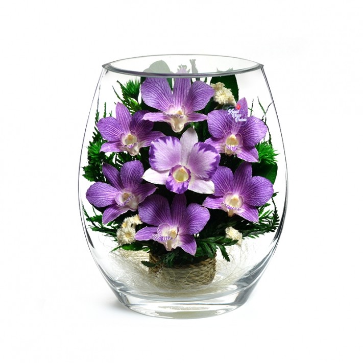 ���������� � ������� �� ����� ������. �������. �������� ������ FLOWERS-MOSCOW.RU