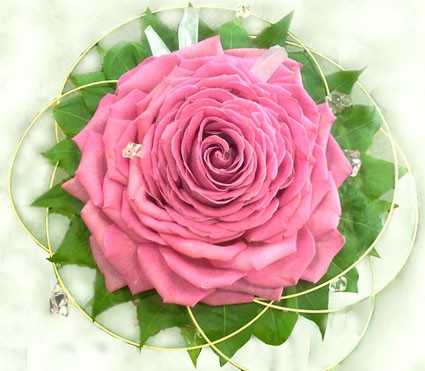 �������� �3. ����. �������� ������ FLOWERS-MOSCOW.RU
