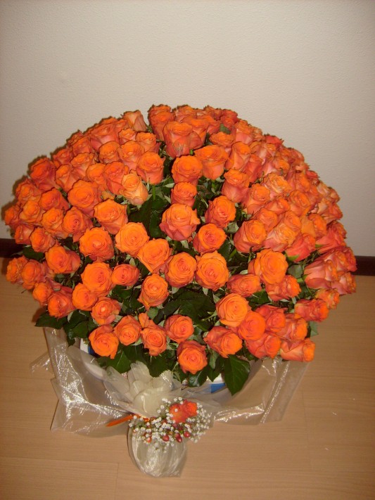 151  ��������� ����+ ���������� � �������. ����. �������� ������ FLOWERS-MOSCOW.RU