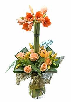 �������. ���������, ����, ������. �������� ������ FLOWERS-MOSCOW.RU