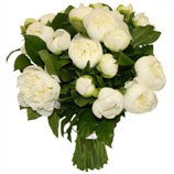 ����� ������� �77. �����, ������. �������� ������ FLOWERS-MOSCOW.RU