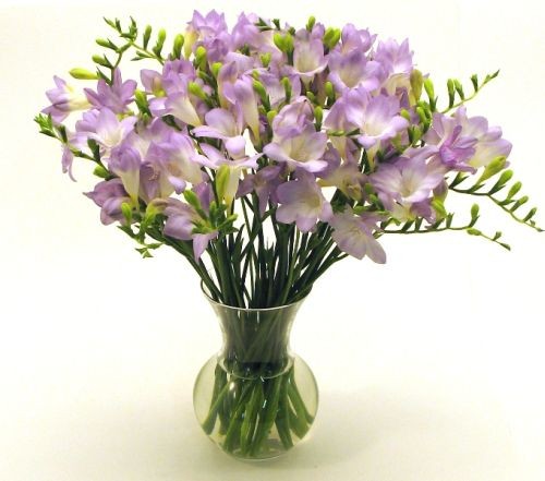 ������. ������. �������� ������ FLOWERS-MOSCOW.RU