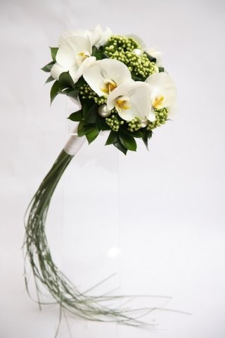 ����� ������� �30. �������. �������� ������ FLOWERS-MOSCOW.RU
