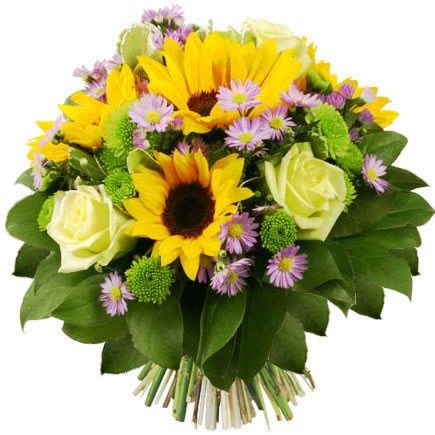 ����� ������� �91. ����������, ����,�������, ������. �������� ������ FLOWERS-MOSCOW.RU