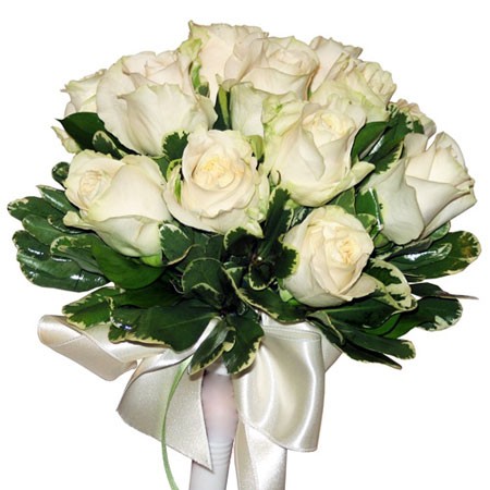 ����� ������� �81. ����, ������. �������� ������ FLOWERS-MOSCOW.RU