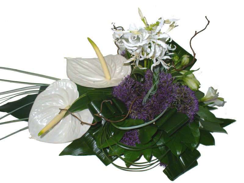 ������. ��������, ������, ���������. �������� ������ FLOWERS-MOSCOW.RU