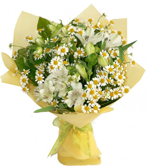 ������. �������, �����������. �������� ������ FLOWERS-MOSCOW.RU