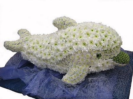 �������. ����������. �������� ������ FLOWERS-MOSCOW.RU