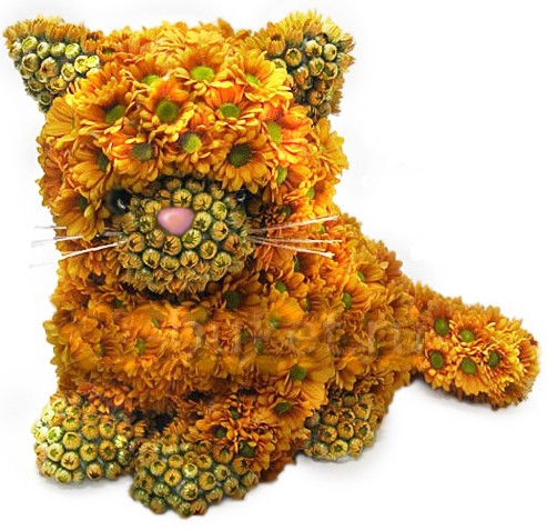 ����� �������. ����������. �������� ������ FLOWERS-MOSCOW.RU