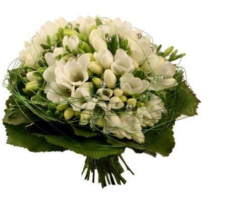 ����� ������� �39. ������, ������. �������� ������ FLOWERS-MOSCOW.RU