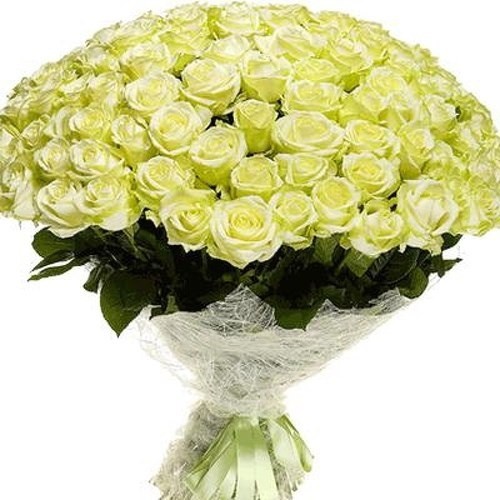 101 ����� ���� �������. ���� �������. �������� ������ FLOWERS-MOSCOW.RU