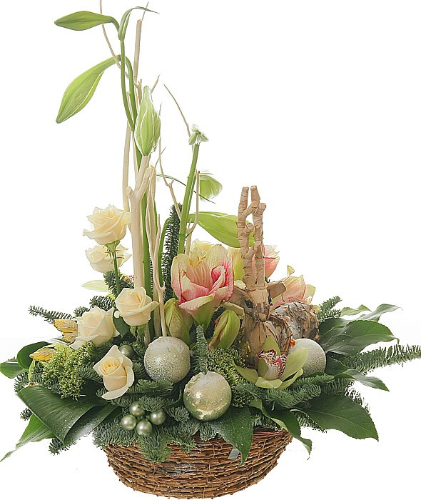 ���������� ���������� �67. ����, ����������, �����,������, ���. �������� ������ FLOWERS-MOSCOW.RU