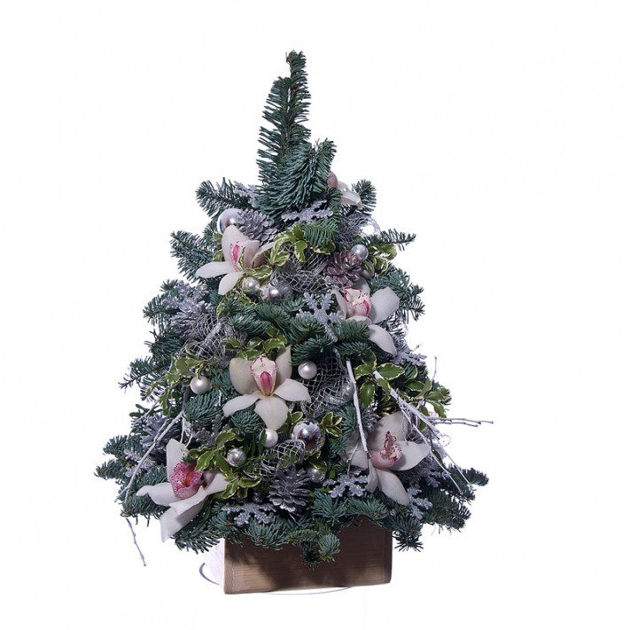 ���������� �����������13. ���, �������. �������� ������ FLOWERS-MOSCOW.RU