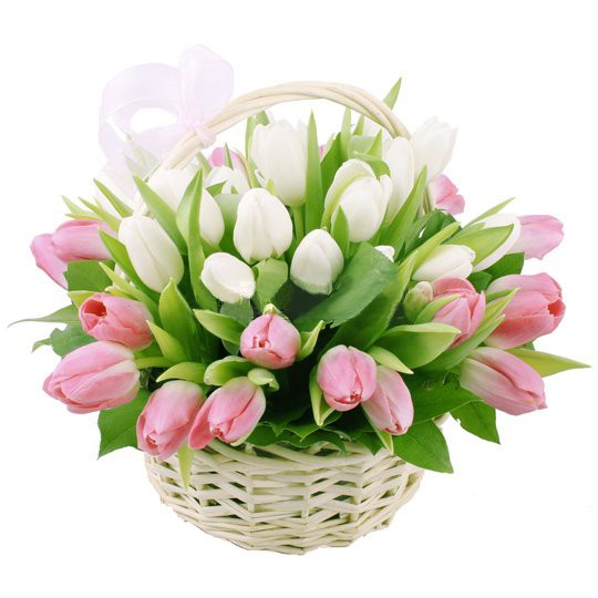 �������������. ��������. �������� ������ FLOWERS-MOSCOW.RU