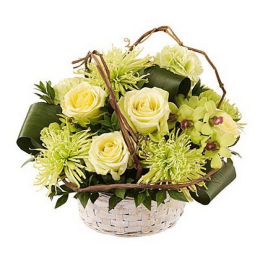 ���������� ���������� �48. ����, ����������, �������. �������� ������ FLOWERS-MOSCOW.RU