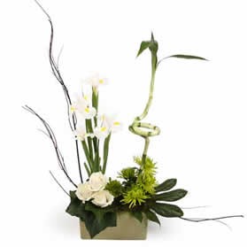 ������ ����. . �������� ������ FLOWERS-MOSCOW.RU