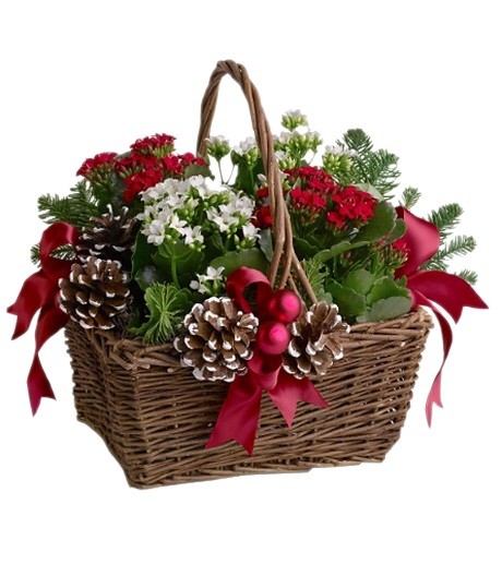 ���������� ���������� �34.  �������� ��������, �����, ���. �������� ������ FLOWERS-MOSCOW.RU