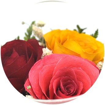  ���������� � ������� �� ����� ������. ����. �������� ������ FLOWERS-MOSCOW.RU